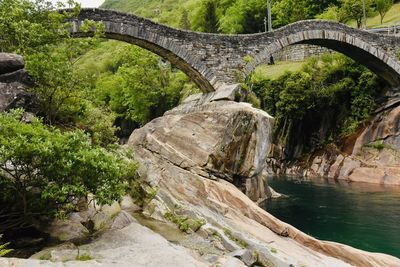 Arch bridge over river amidst trees