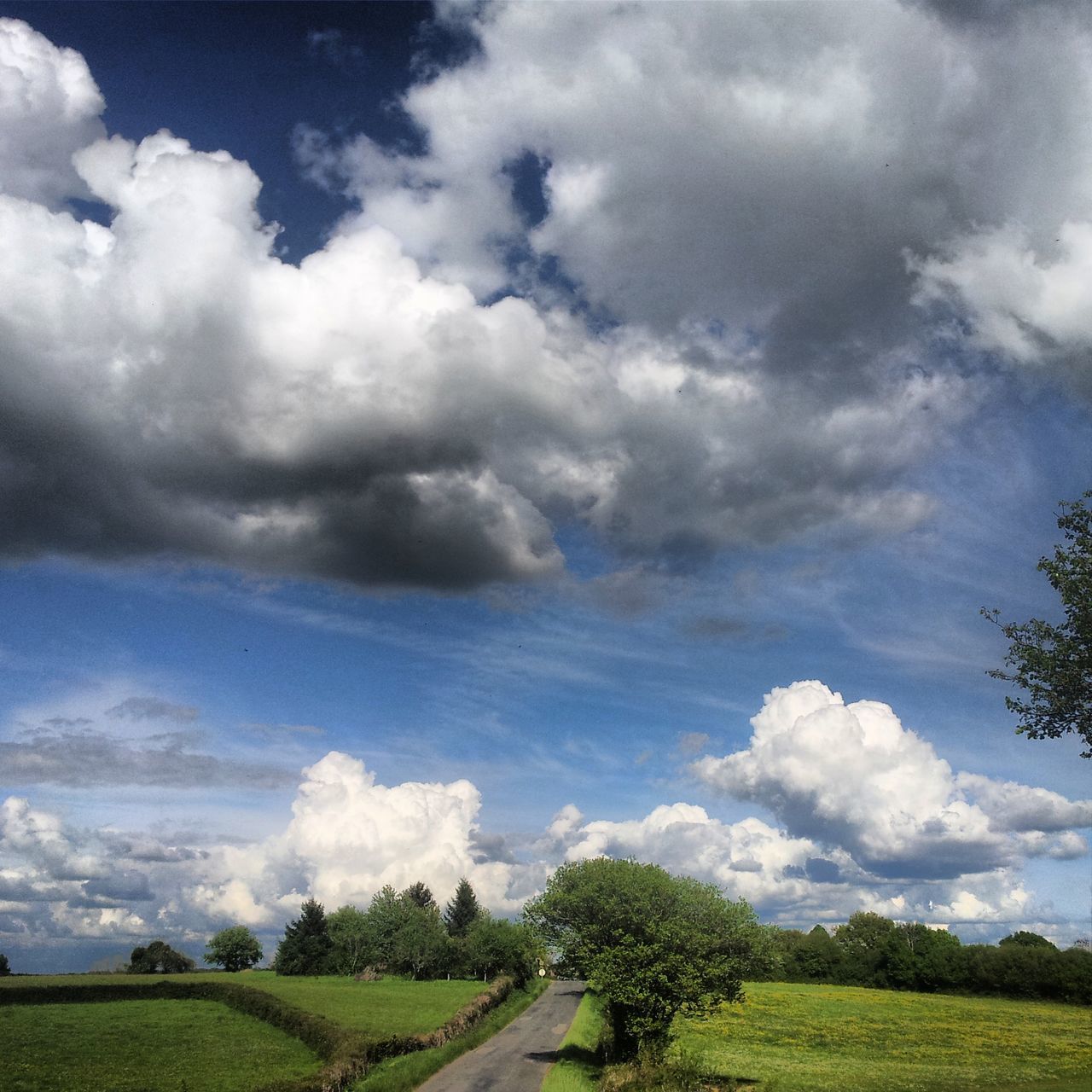 sky, cloud - sky, landscape, tranquil scene, cloudy, field, tranquility, grass, scenics, cloud, tree, beauty in nature, nature, green color, growth, idyllic, grassy, day, cloudscape, rural scene