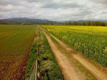 Scenic view of field against cloudy sky