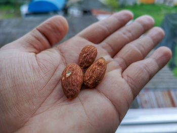 Close-up of hand holding food