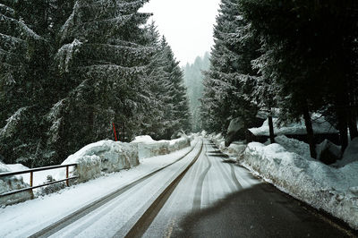 Snow covered road amidst trees during winter