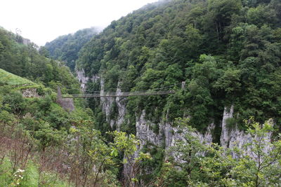 Scenic view of waterfall