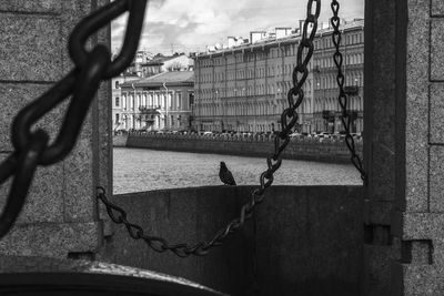 View of metal fence with buildings in background