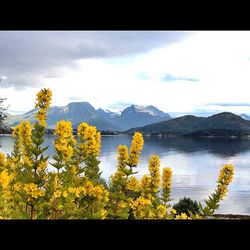 Scenic view of mountains against sky