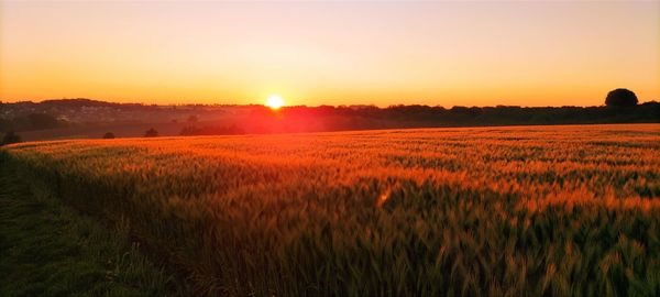 Scenic view of field against sky during sunset