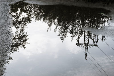 Low angle view of trees against sky