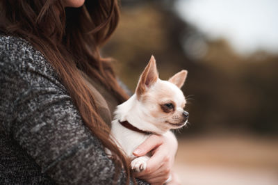 Midsection of woman holding dog