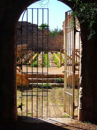 Plants seen through metal gate of building