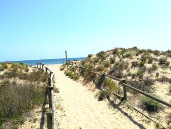 Scenic view of beach against clear sky