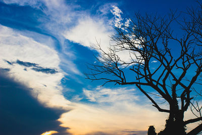 Low angle view of silhouette bare tree against blue sky