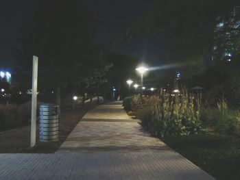 Narrow footpath in park at night