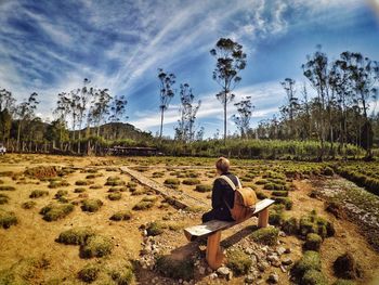 Rear view of man sitting on land against sky