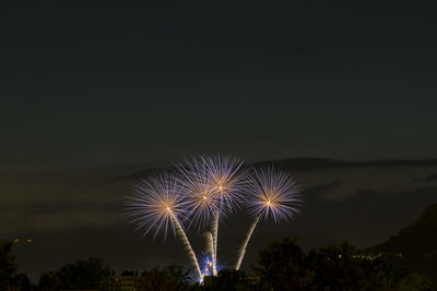 Firework display at night