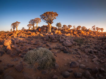 Scenic view of desert against clear sky