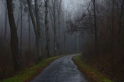 Road amidst trees in forest during foggy weather