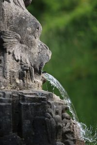 Close-up of statue