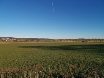 Scenic view of field against clear blue sky