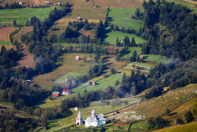 High angle view of trees and buildings on field