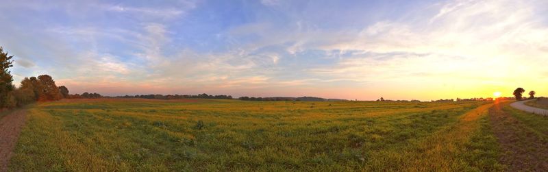 Scenic view of agricultural field against sky during sunset