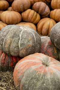 Full frame shot of pumpkins