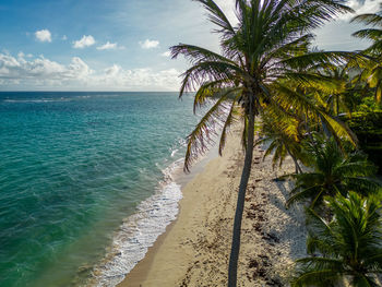 Guadeloupe - marie galante amazing caribbean beach with many colors from drone view