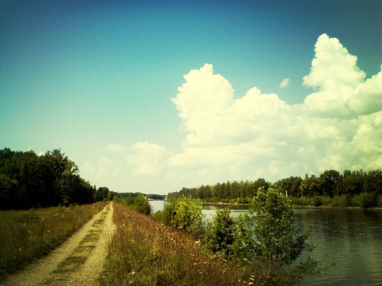 sky, the way forward, tranquil scene, tranquility, water, tree, scenics, nature, beauty in nature, landscape, grass, blue, road, diminishing perspective, cloud, field, cloud - sky, growth, vanishing point, plant