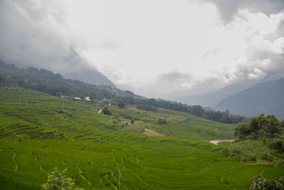 Scenic view of agricultural field against sky