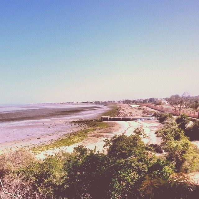 clear sky, copy space, tranquil scene, tranquility, scenics, beauty in nature, landscape, nature, beach, water, sand, sea, blue, tree, shore, idyllic, non-urban scene, horizon over water, outdoors, remote