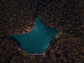 High angle view of dam among the woods