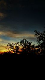 Silhouette trees on landscape against sunset sky