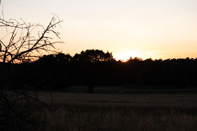 Silhouette trees on field against sky during sunset