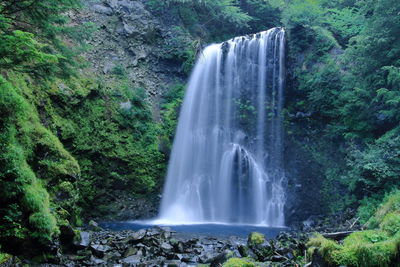 Scenic view of waterfall in forest