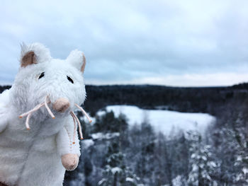 Rat toy in winter