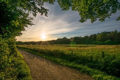 Scenic view of rural landscape