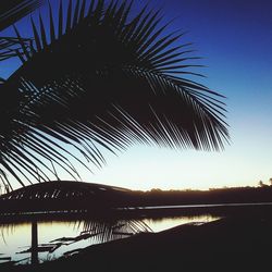 Silhouette palm tree by lake against sky at sunset