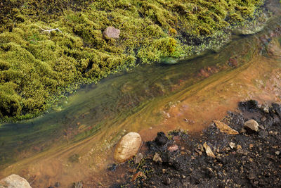 High angle view of water flowing through rocks