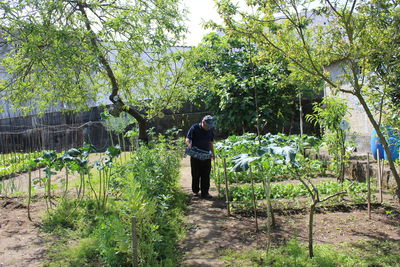 Full length of person planting in vegetable garden