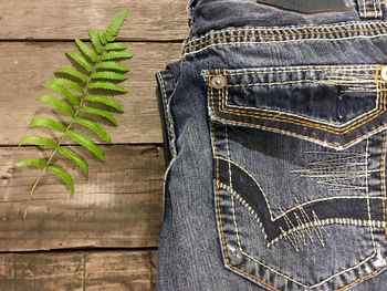 Close-up of fern by jeans pant on wooden table