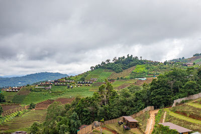 Panoramic view of agricultural field against sky