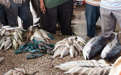 Group of people at fish market