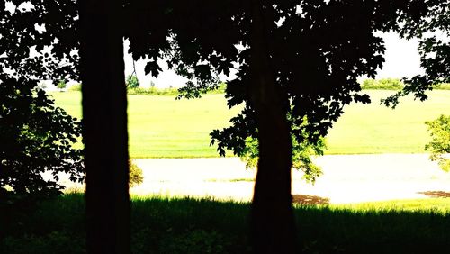 Scenic view of grassy field against sky