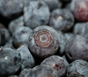 Full frame shot of blueberries