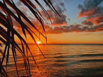 Scenic view of sea against orange sky