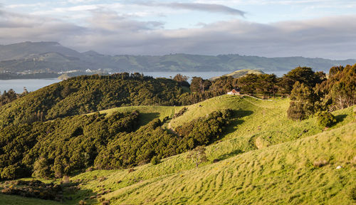 Scenic view of landscape and mountains against sky