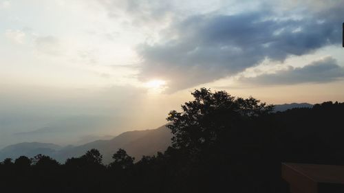 Silhouette trees against sky during sunset