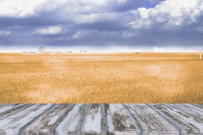 Scenic view of field against sky