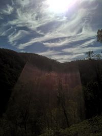 Scenic view of forest against sky