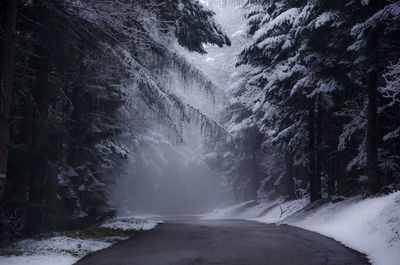 Scenic view of snow covered road