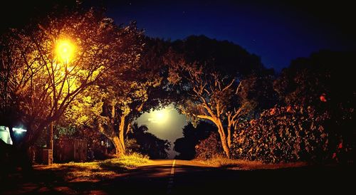 Illuminated road by silhouette trees against sky at night