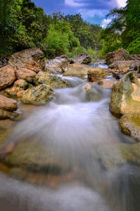 Stream flowing through rocks in forest